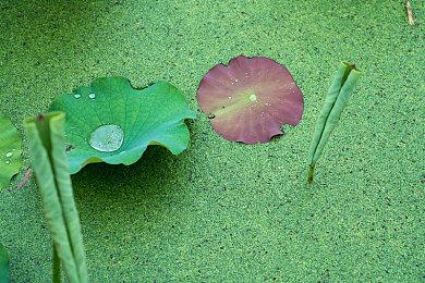 第一人称合作射击游戏《红霞岛》Steam页面上线 2023年发售